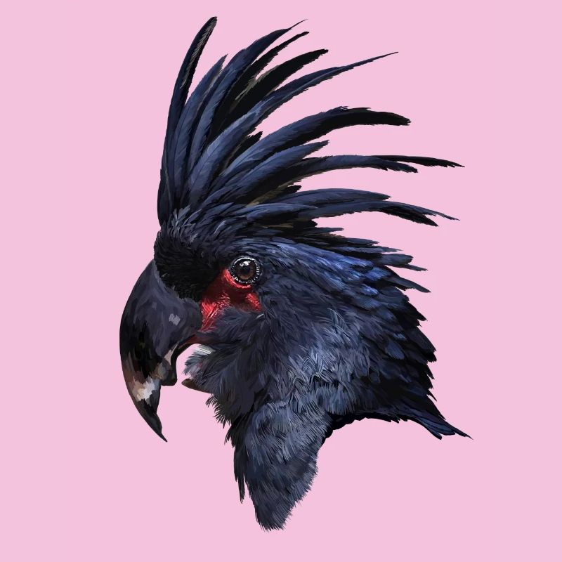 Parrot