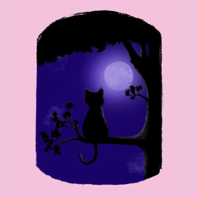 Purfect Night