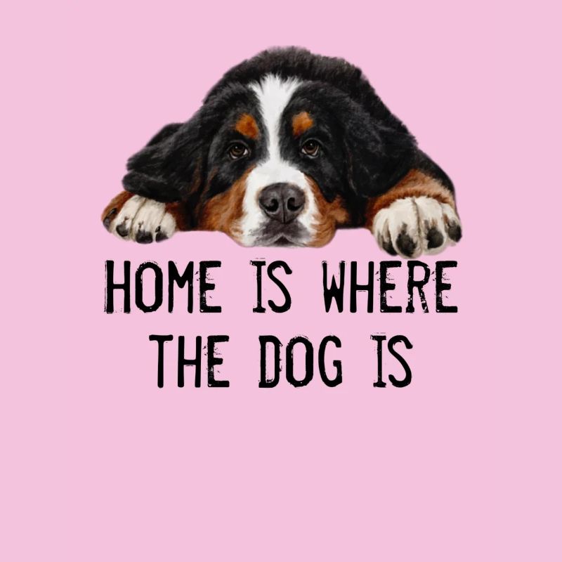 Berner Sennenhund