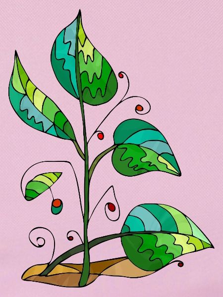 feuilles