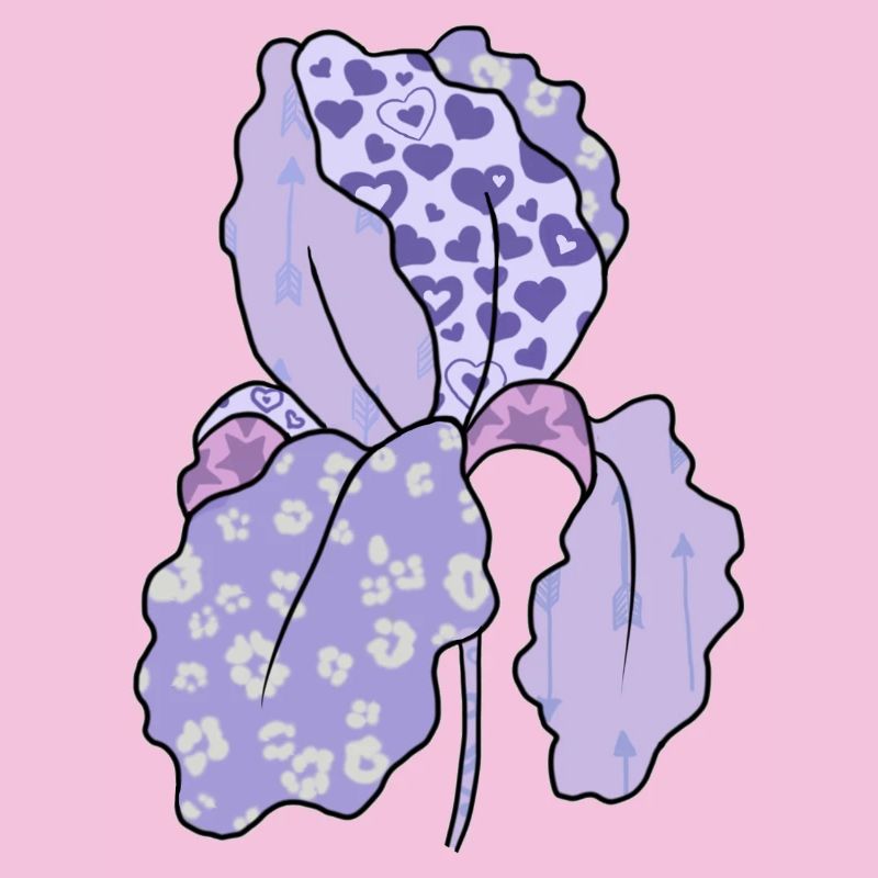 Bunte_Iris