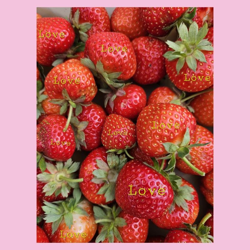 Fraises