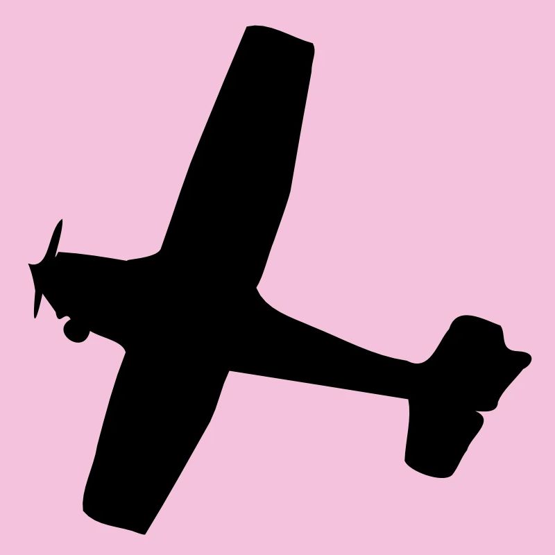 Flugzeug