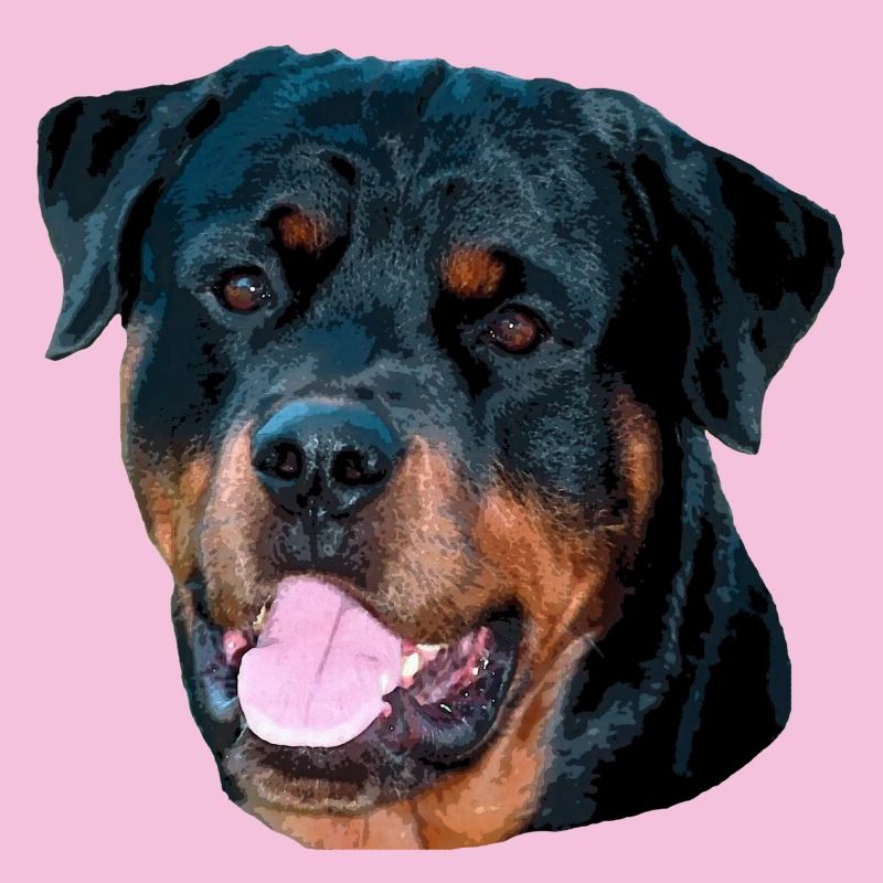 rotti