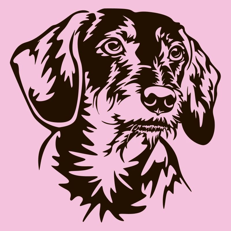 Dackel Kopf