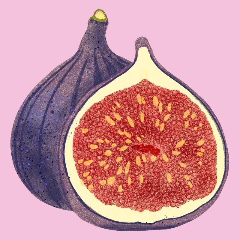 Opened Fig – Fruit Illustration