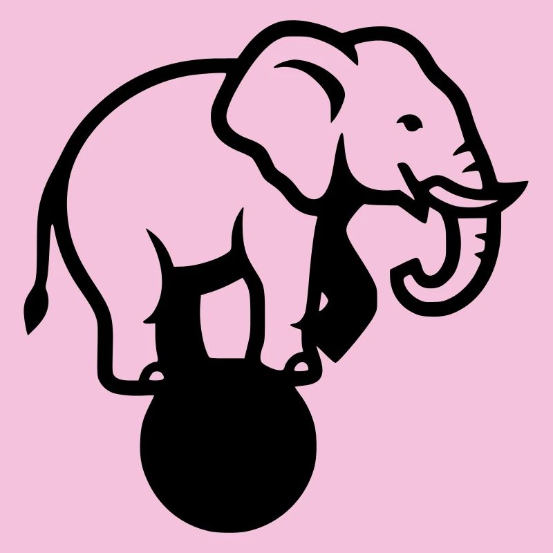 Acrobaties du Cirque Elephant Ball