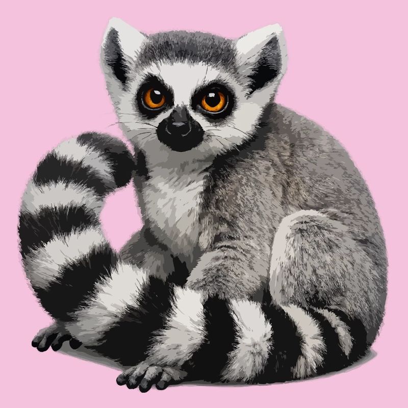 Illustration du lémurien à queue annelée