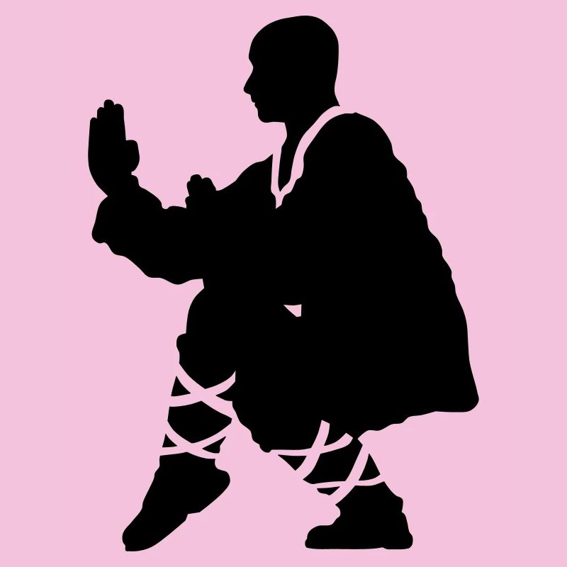 Kung fu Shaolin