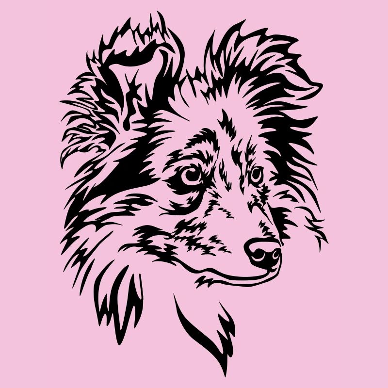 Sheltie Kopf