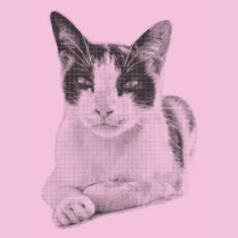 Calico-Katzen-Halbton