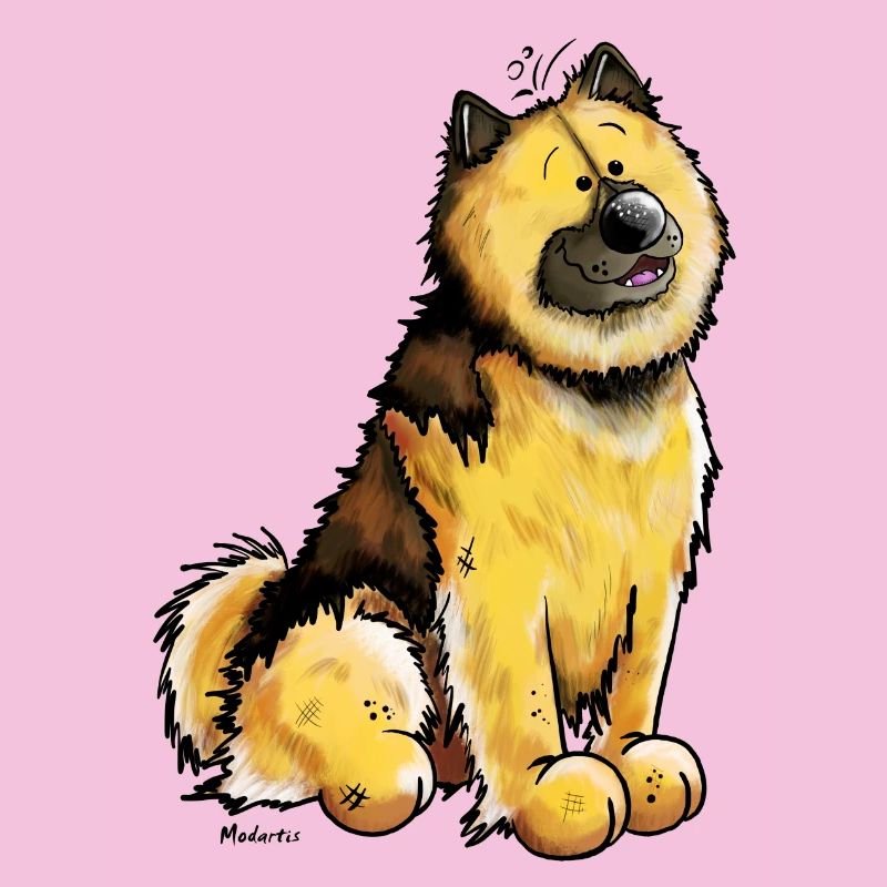 Drôle Eurasier