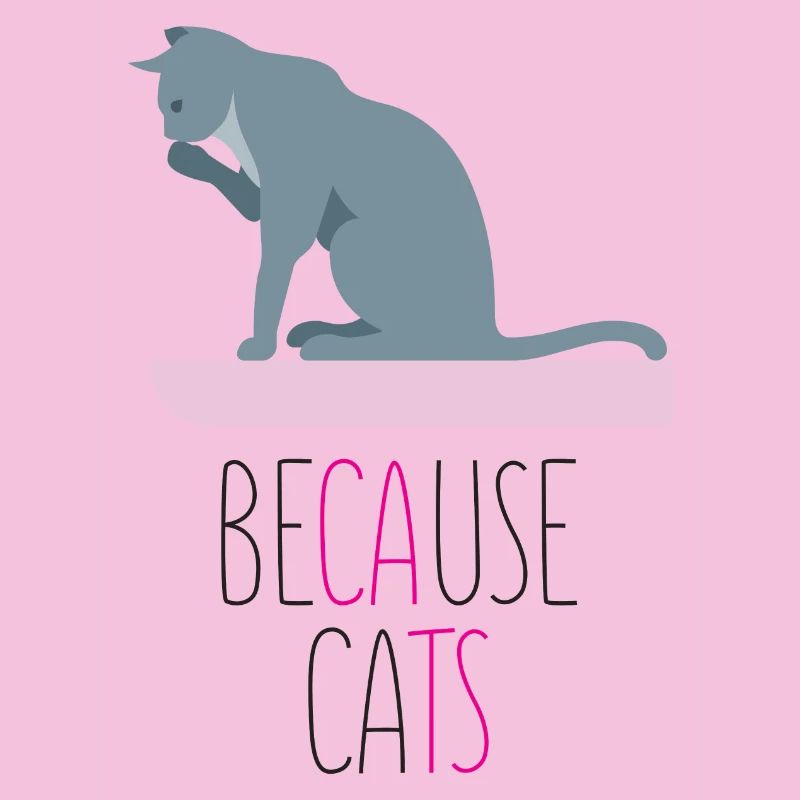 Weil Katzen