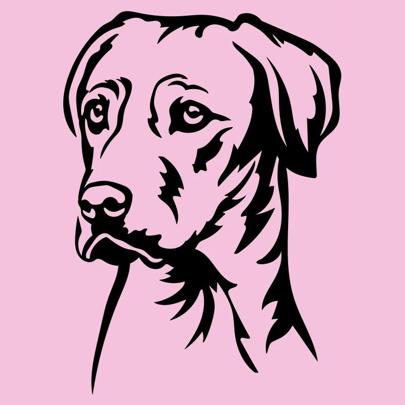 Rhodesian Ridgeback Kopf