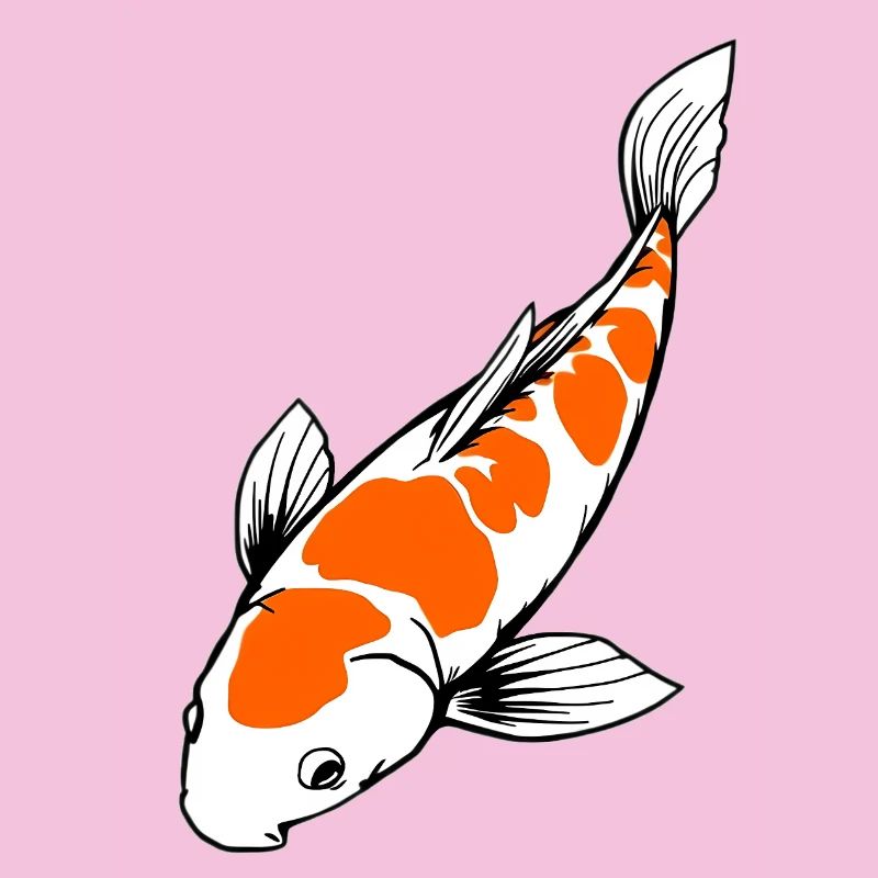 Poisson Koi