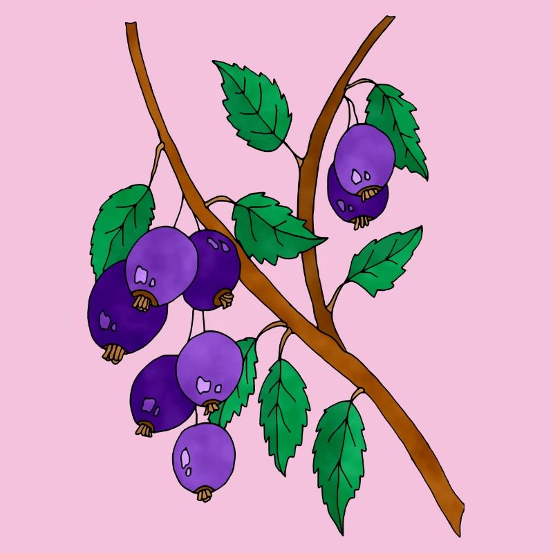 Plums