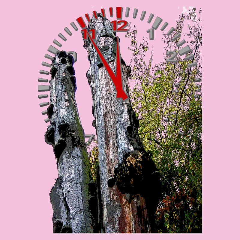Timestamp on tree trunk 5 to 12