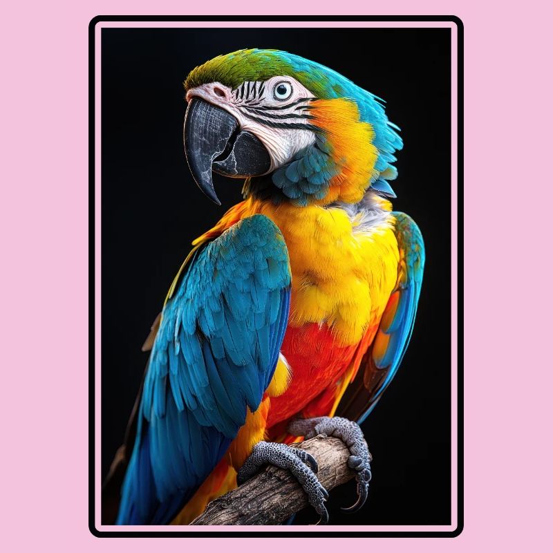 Macaw's Era