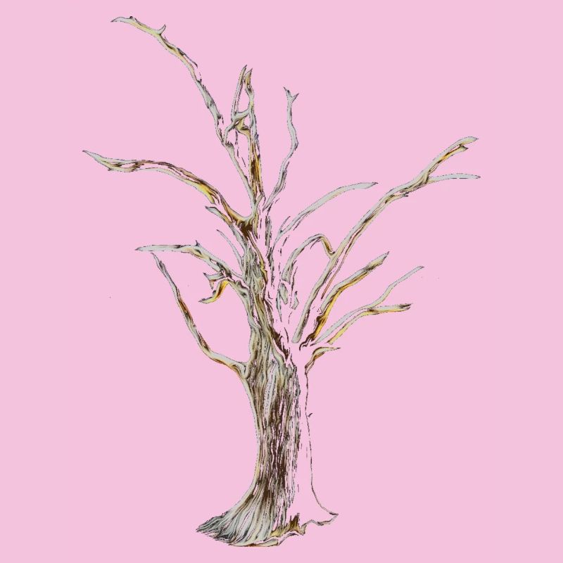 Baum