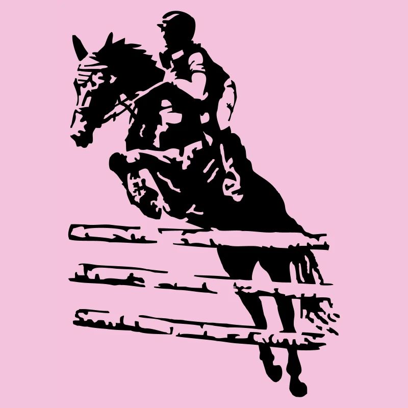 Springreiter Reiter
