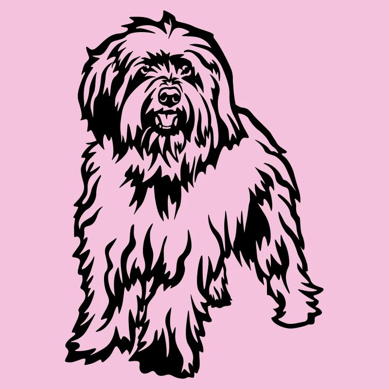 Caniche de mouton