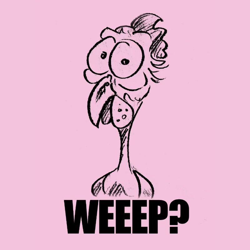 WEEEP? Baffled Chicken Head – Humor