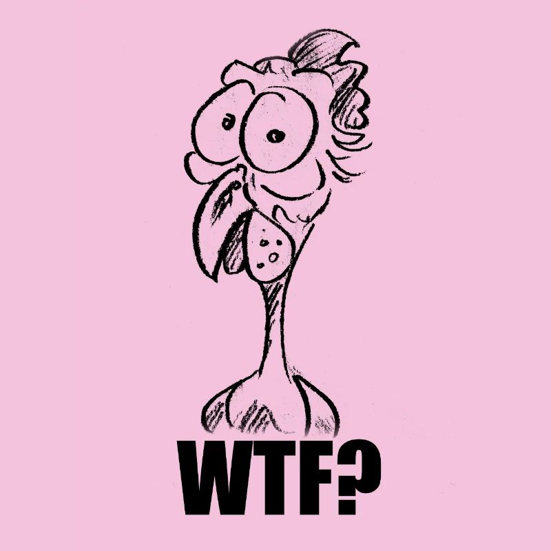 C’est quoi ce bordel ? Chicken Head - Mème comique drôle