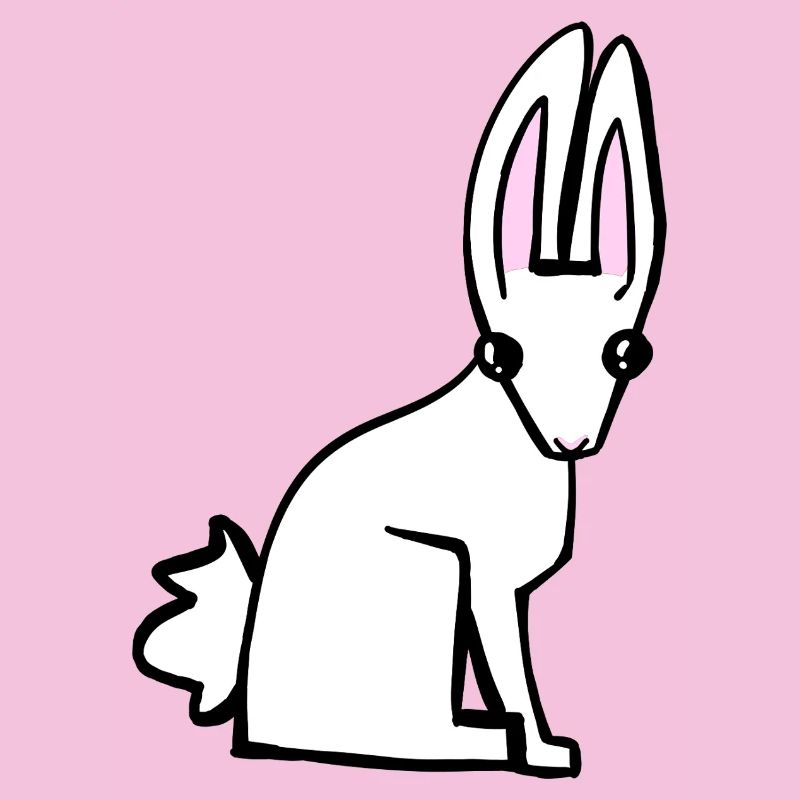 white bunny