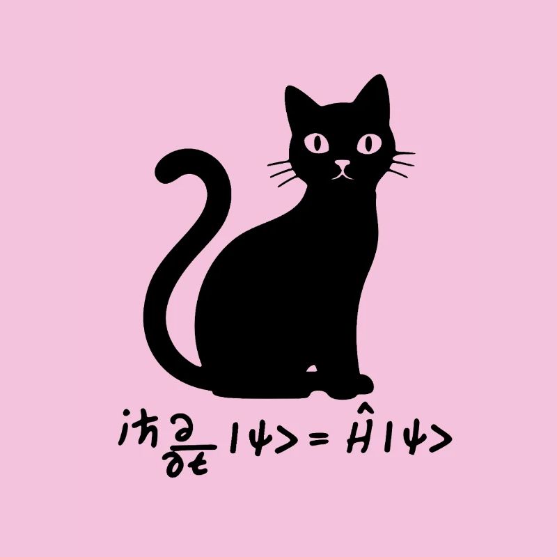 Équation de Schödinger