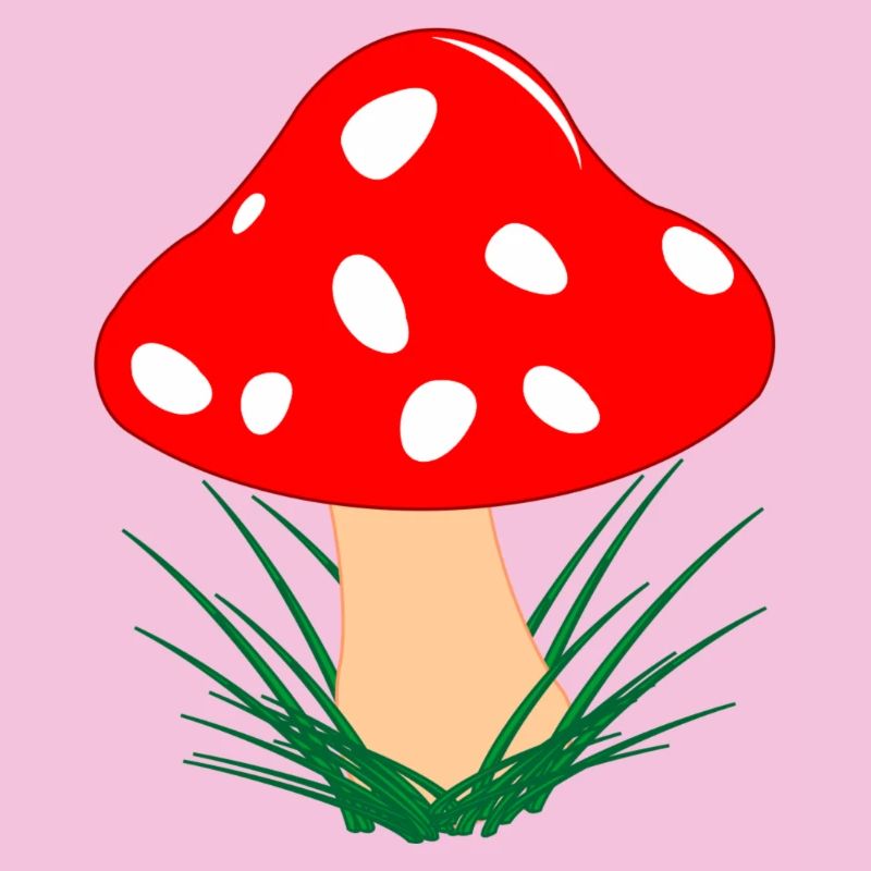 Champignon rouge avec des points blancs Automne