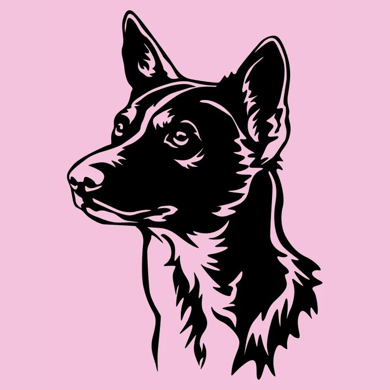 Tête de Basenji