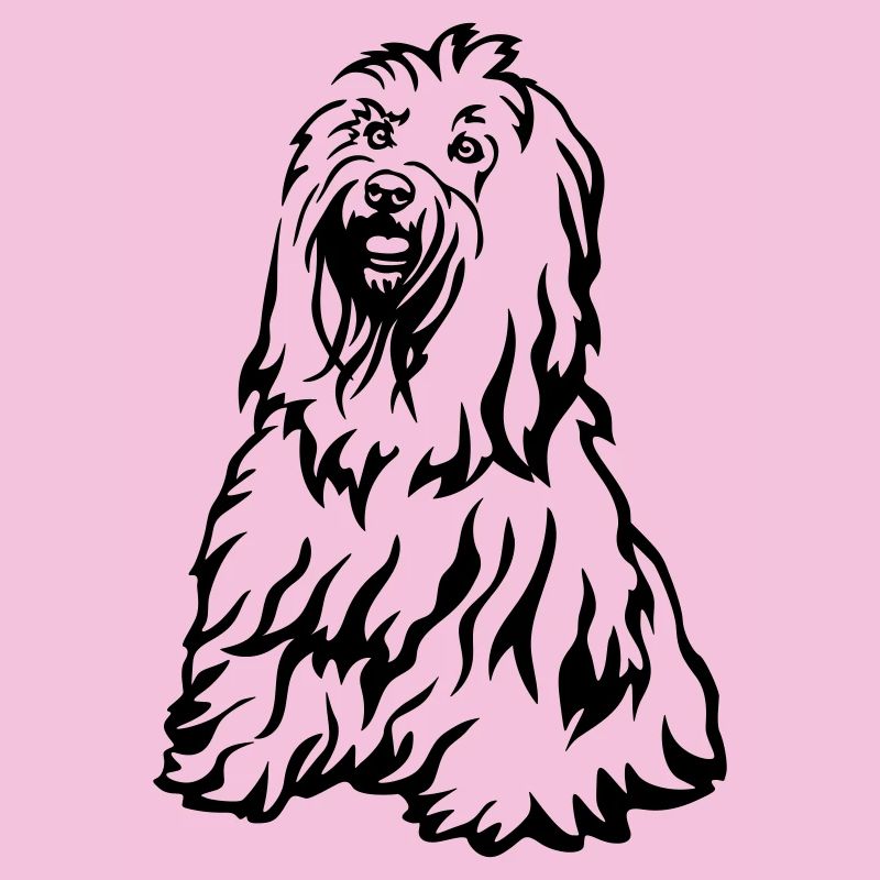 Terrier tibétain