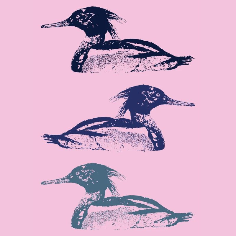 MERGUS