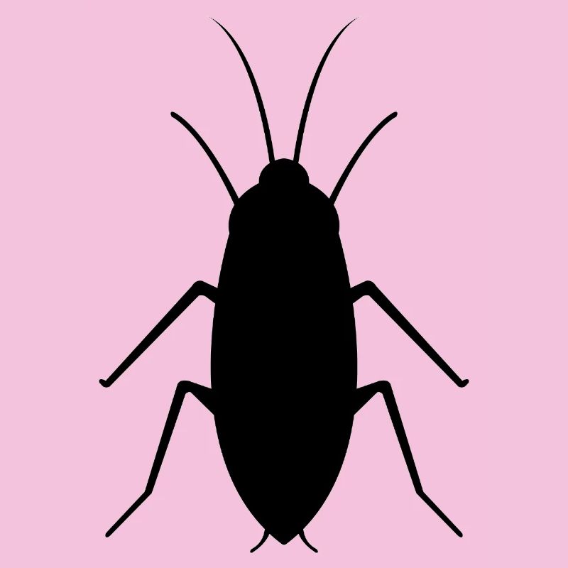 cockroach