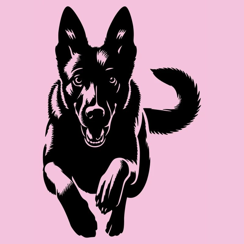Malinois