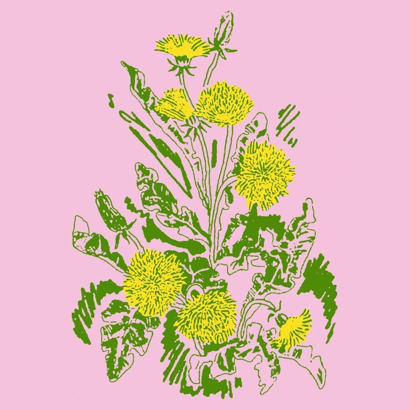 DANDELIONS