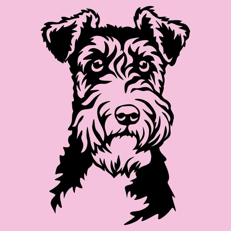 Foxterrier Kopf