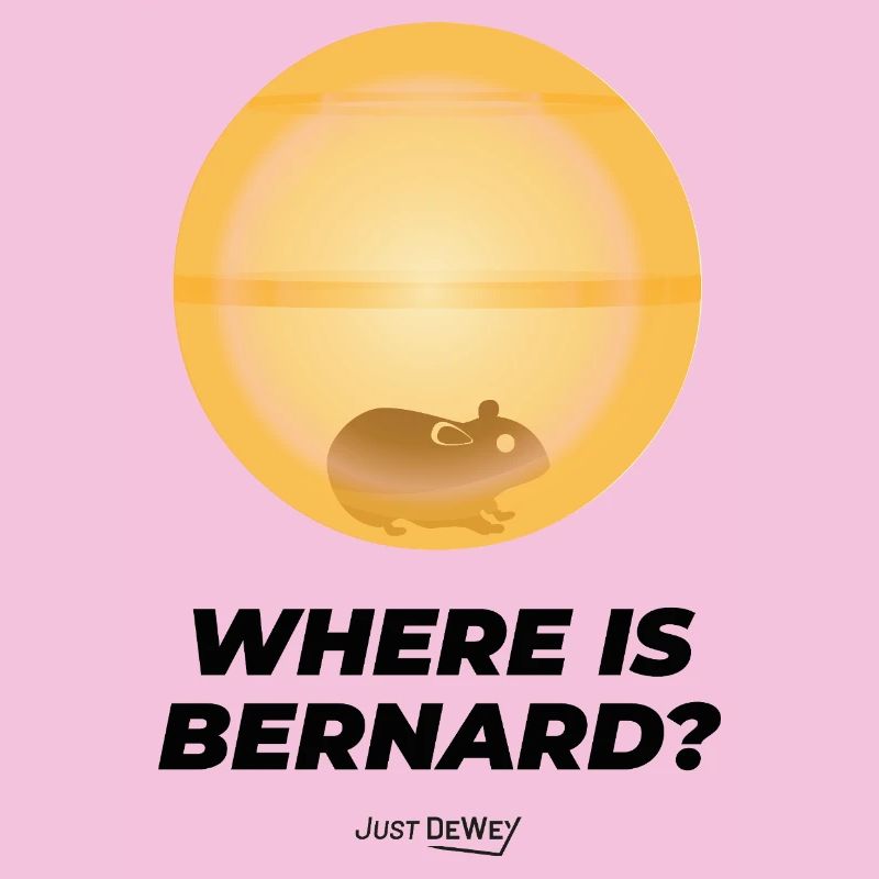 Where is Bernard ? Just Dewey - Hamster malcolm