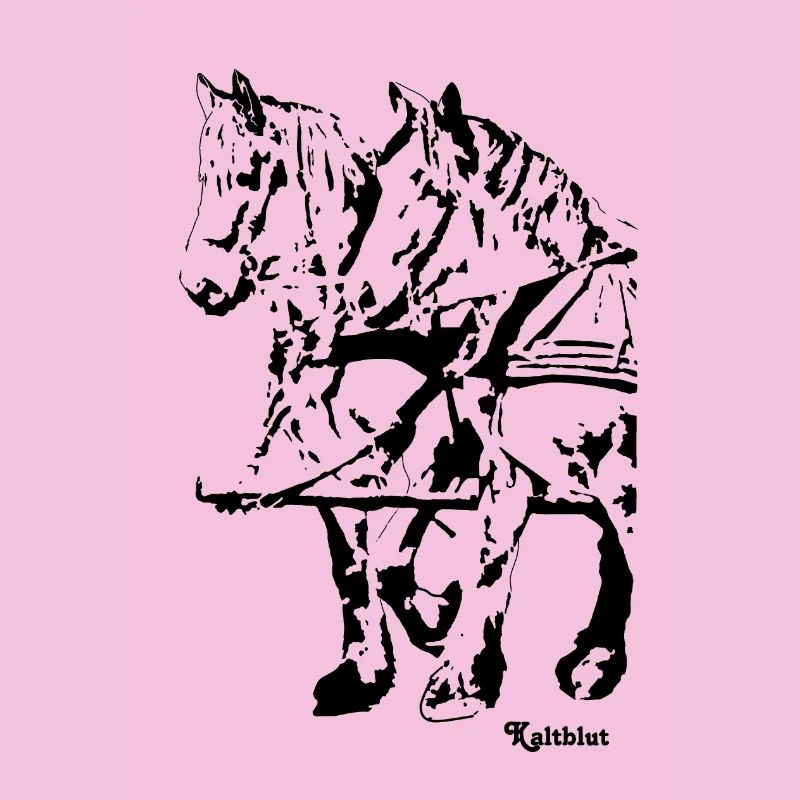 gespann11