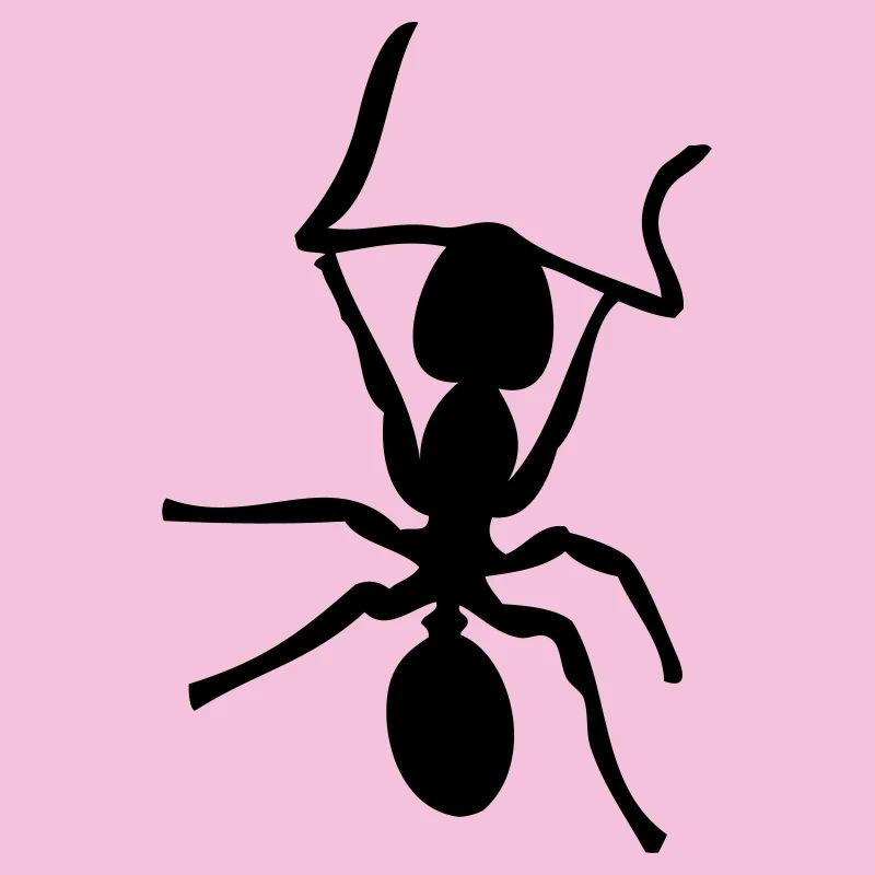 Fourmis - Insectes - Fourmis