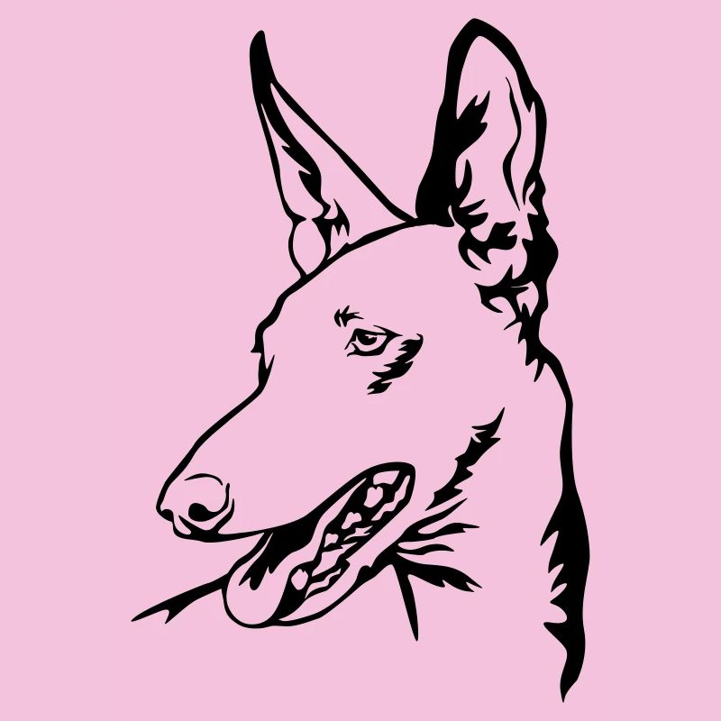 Podenco Kopf