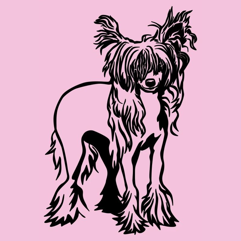 Cane crestato cinese