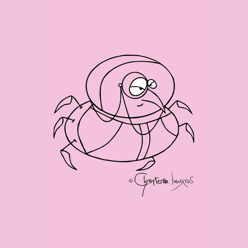 Monokelkäfer - Coleopter Monoculus