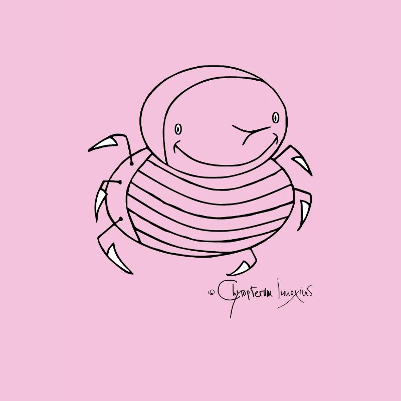 Stachelkäfer - Coleopter Aculaeus