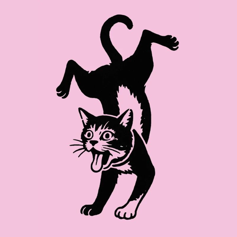 Saut de la silhouette du chat