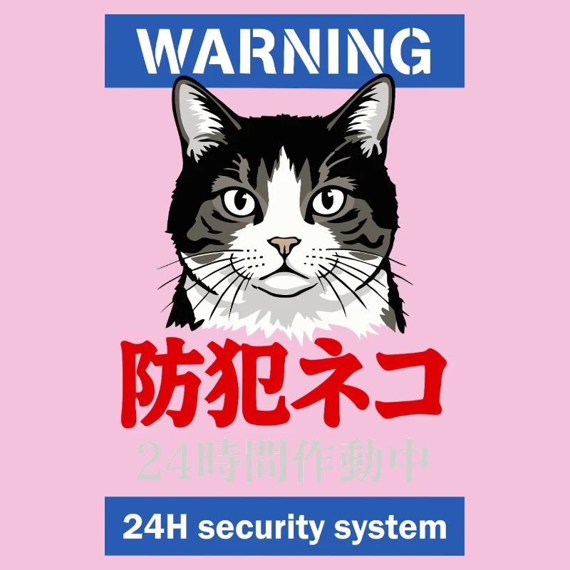 24h Security System