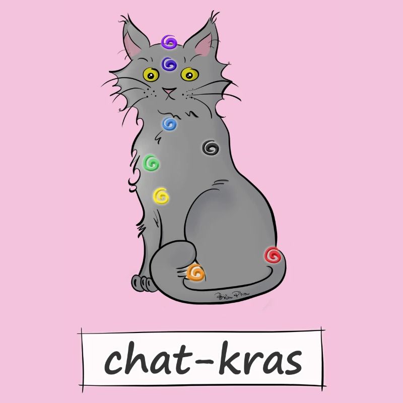 Chat-kras