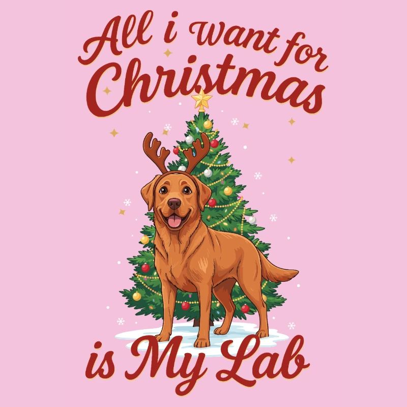Noël avec mon Labrador