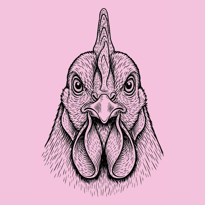 Poulet