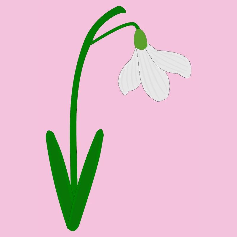 Perce-neige Mois de naissance de janvier Fleur Anniversaire